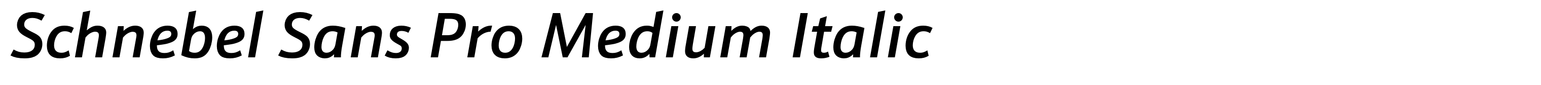 Schnebel Sans Pro Medium Italic